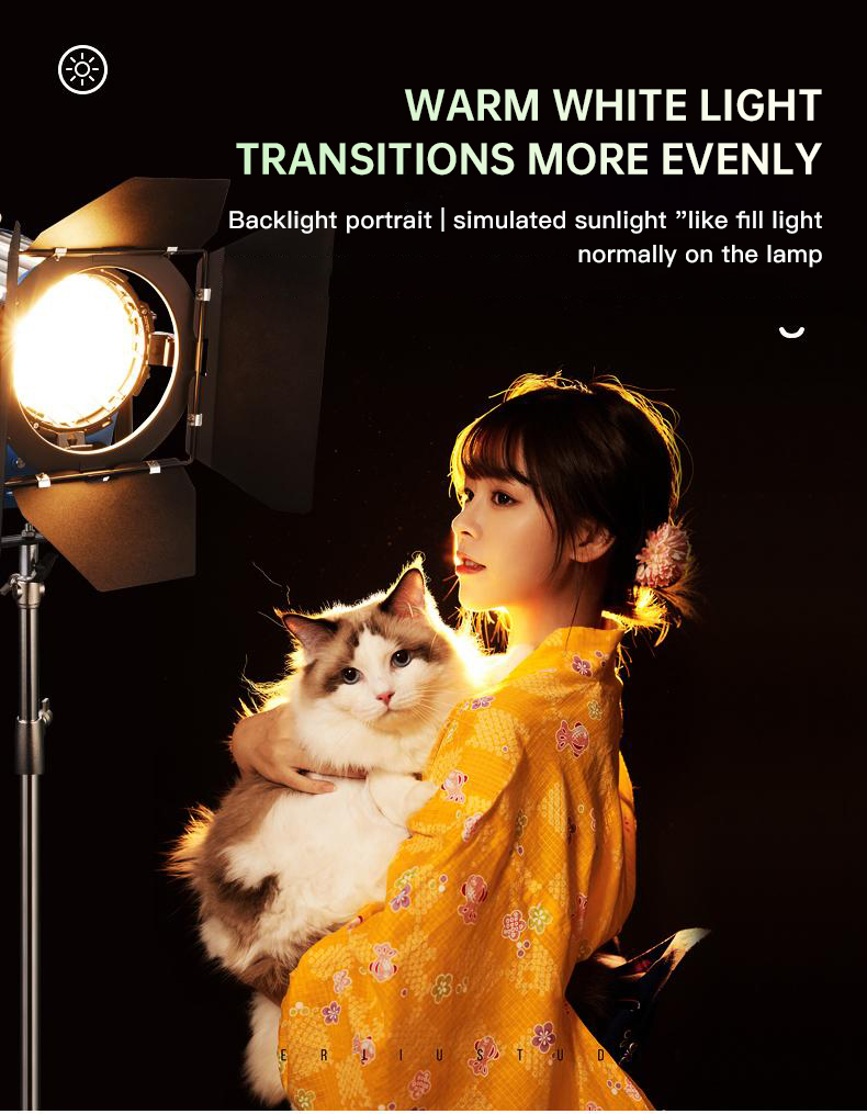 北洋 2000W スポットライト ヘアライト アンカー バッ - Photography Lighting For Portraits のレビューと価格