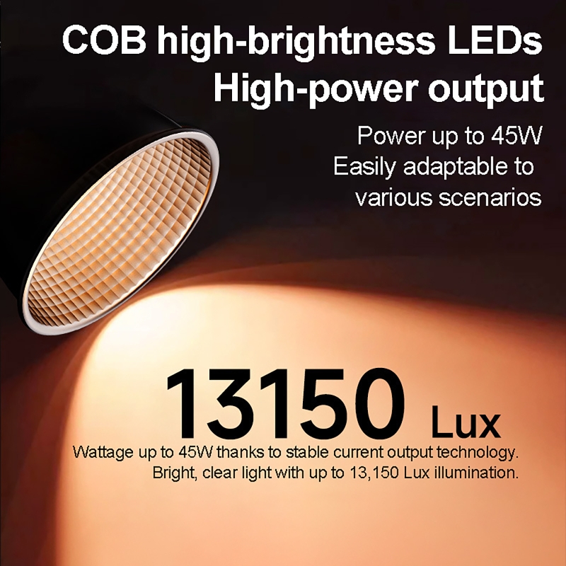 60W RGBビデオライト ポータブルLED撮影スタジオライ - Photography Natural Lighting のレビューと価格